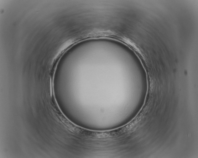 X0000076421219200610271700