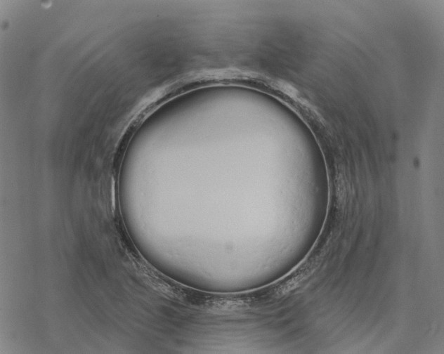 X0000076421221200610271700