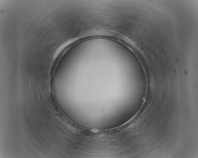 X0000076421222200610271700