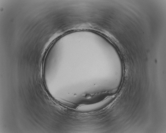 X0000076421224200610271700