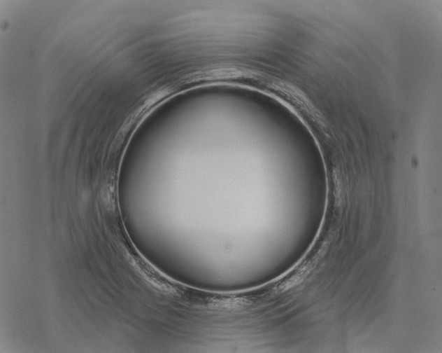 X0000076421225200610271700