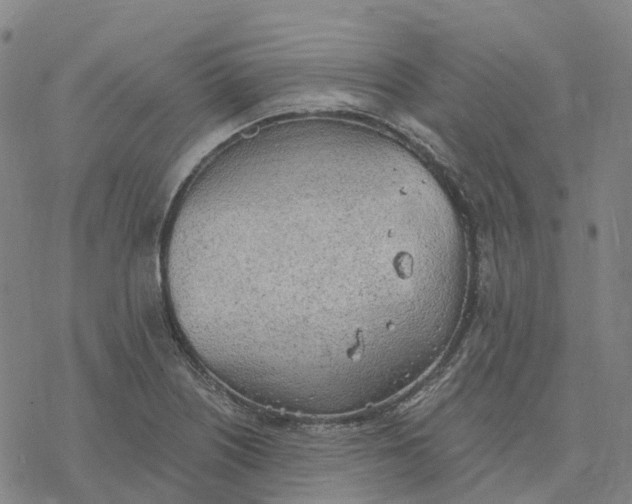 X0000076421226200610271700