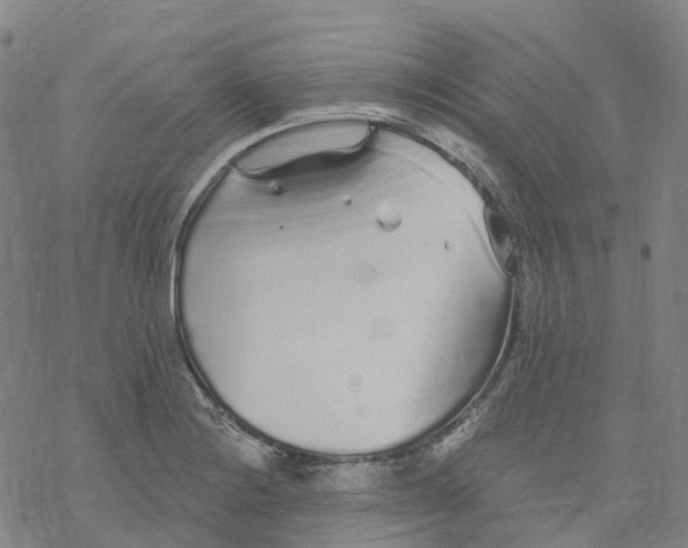 X0000076421228200610271700