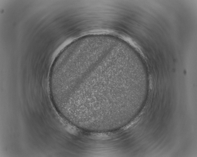 X0000076421229200610271700