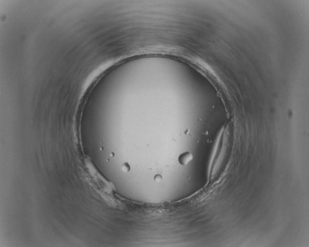 X0000076421230200610271700