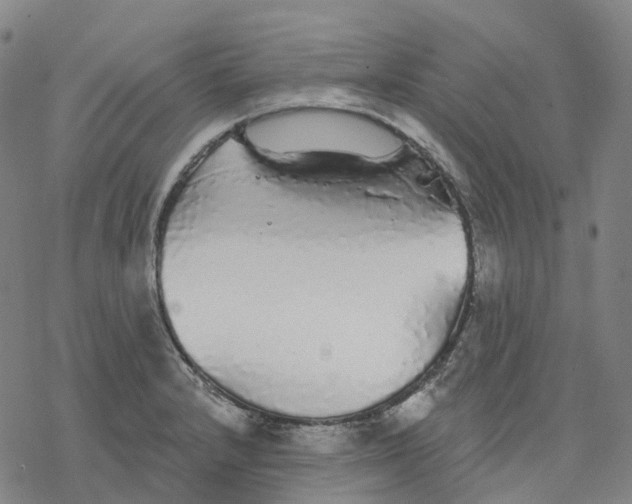 X0000076421232200610271700