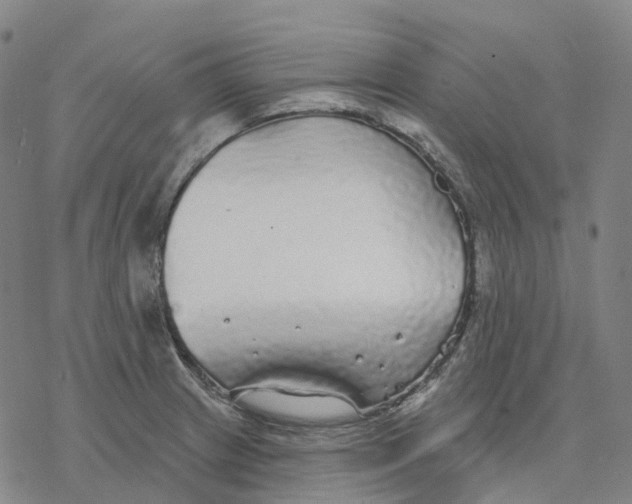 X0000076421233200610271700