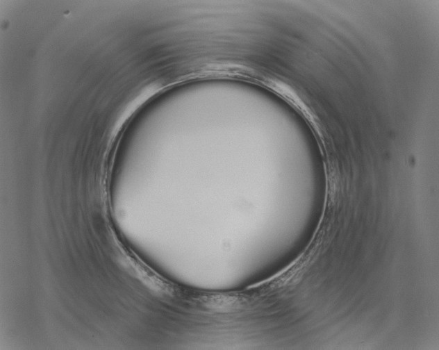 X0000076421235200610271700