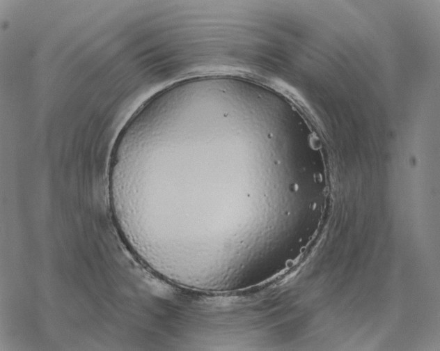 X0000076421236200610271700