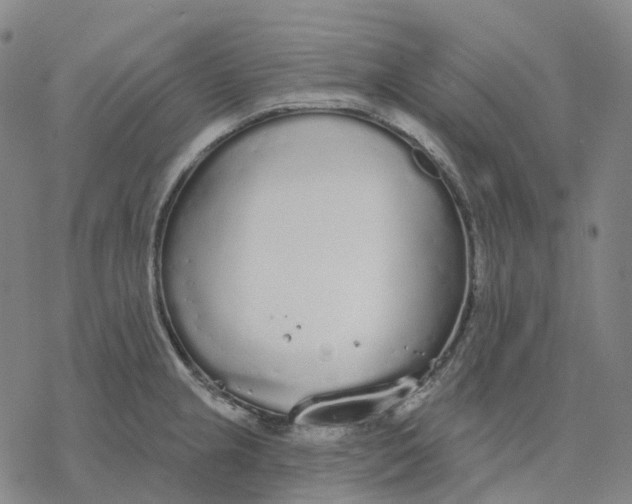 X0000076421237200610271700