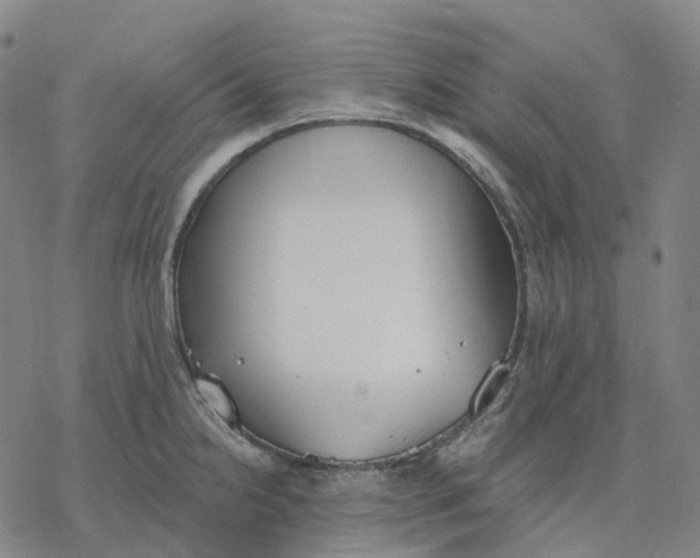 X0000076421238200610271700