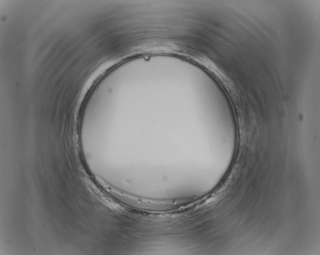 X0000076421240200610271700