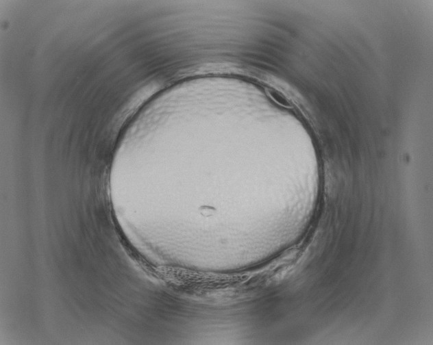 X0000076421241200610271700