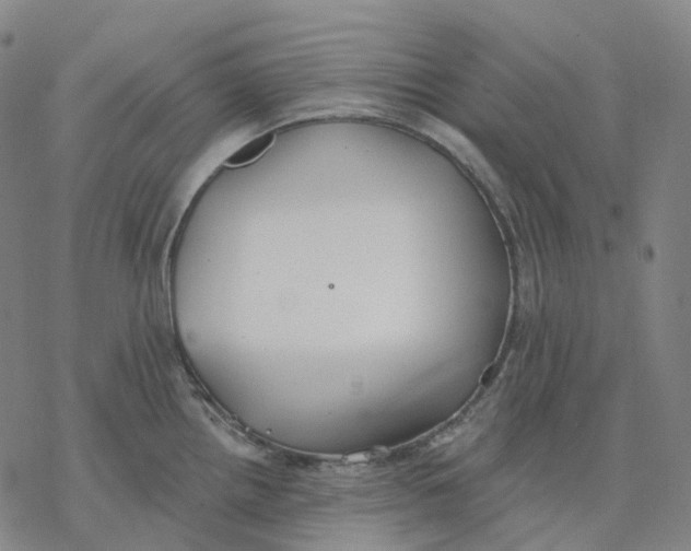 X0000076421242200610271700