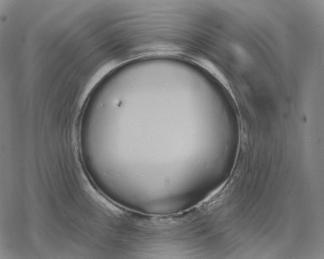 X0000076421243200610271700