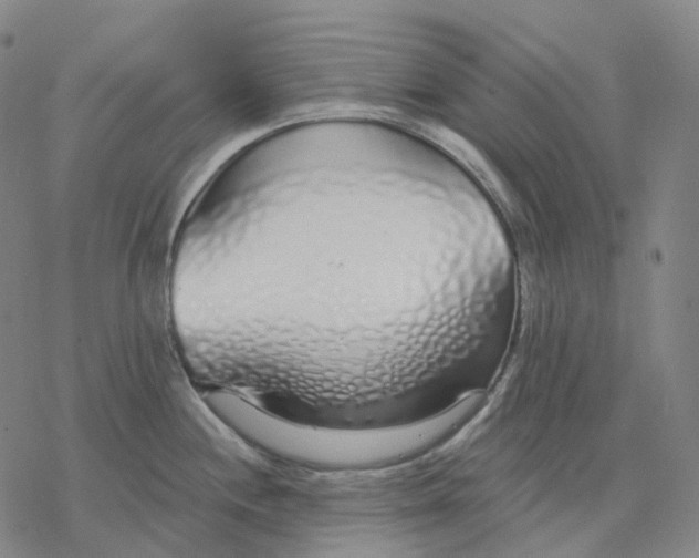 X0000076421244200610271700