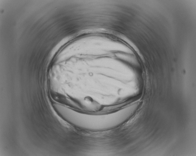 X0000076421245200610271700