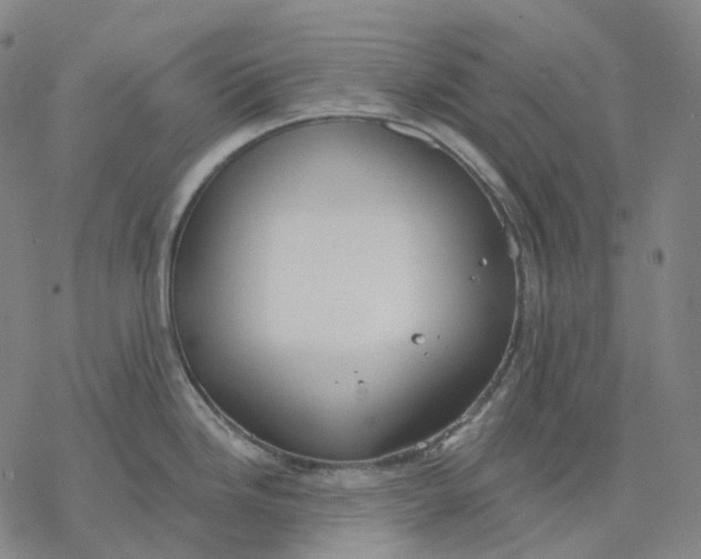 X0000076421246200610271700