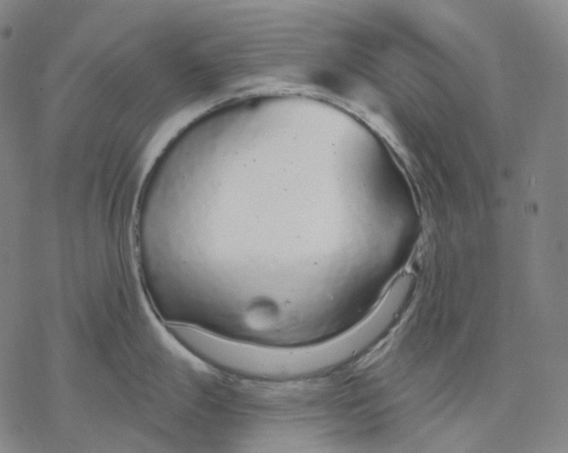 X0000076421247200610271700