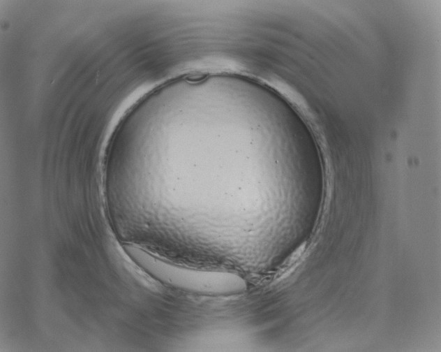 X0000076421248200610271700