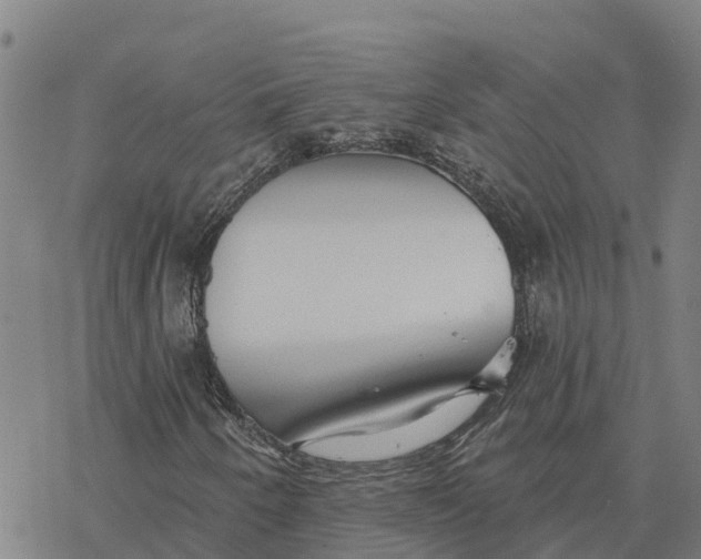 X0000076421250200610271659