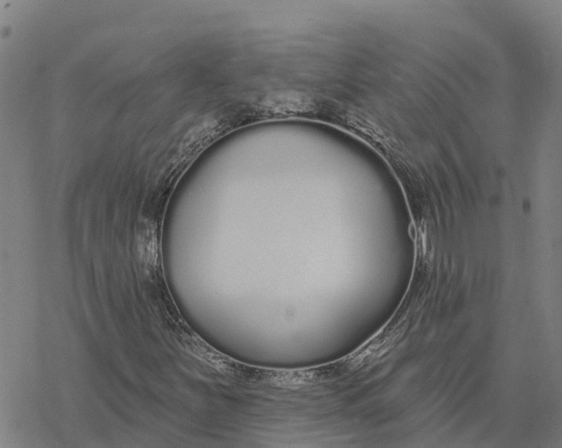 X0000076421251200610271659