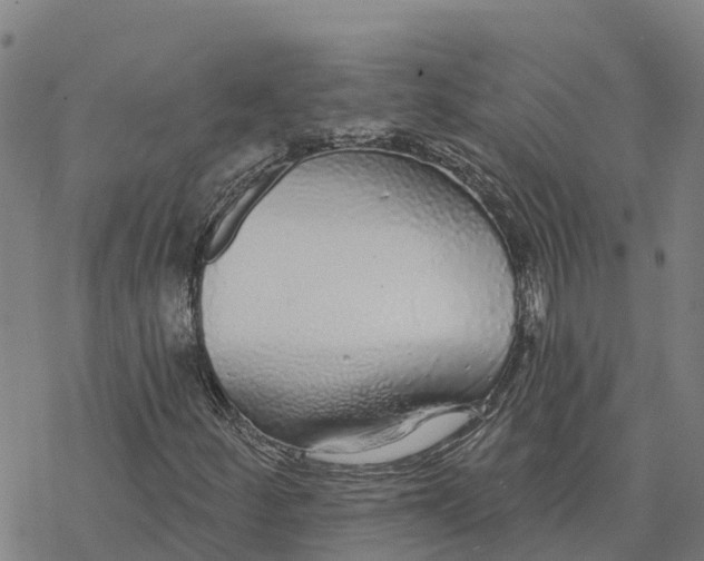 X0000076421252200610271659