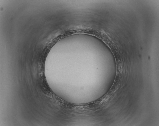 X0000076421253200610271659