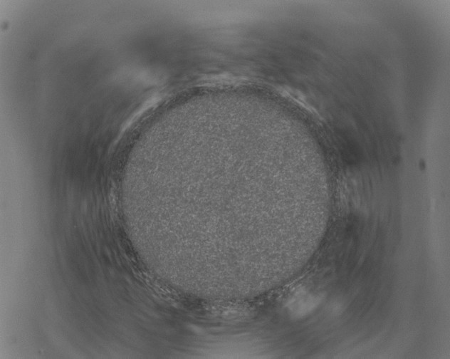 X0000076421254200610271659