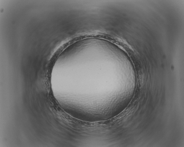 X0000076421256200610271659