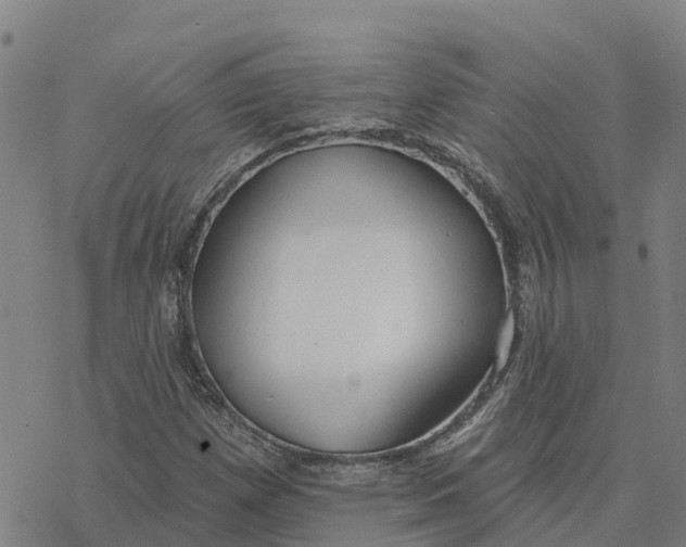 X0000076421257200610271659