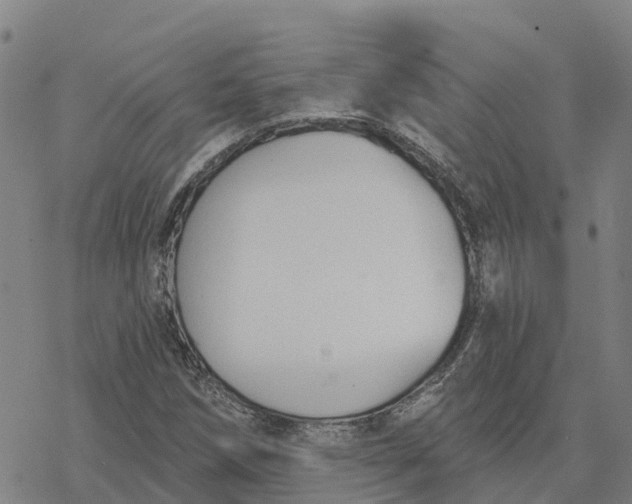 X0000076421258200610271659