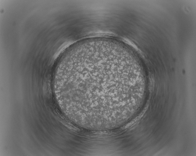 X0000076421259200610271659