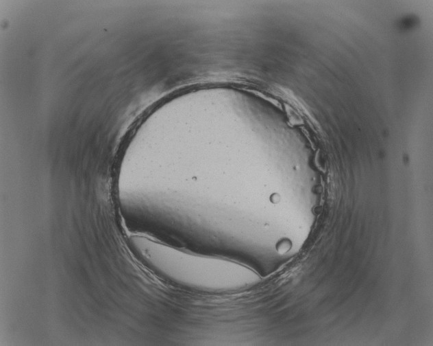 X0000076421260200610271659