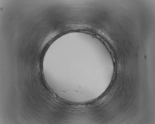 X0000076421261200610271659