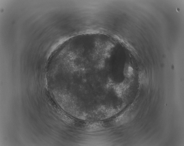 X0000076421262200610271659