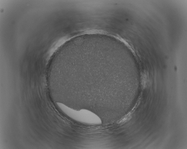 X0000076421263200610271659