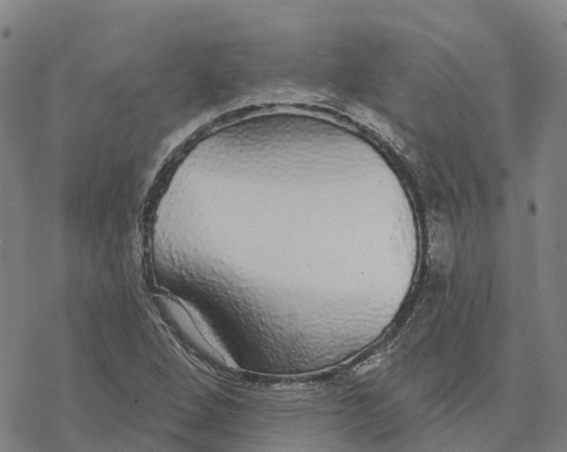 X0000076421264200610271659