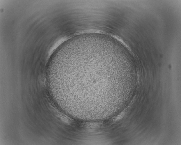 X0000076421266200610271659