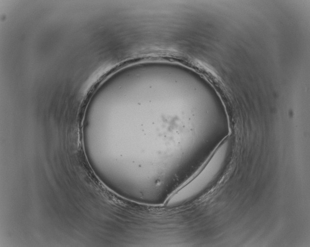 X0000076421267200610271659