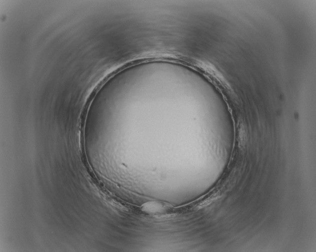 X0000076421268200610271659