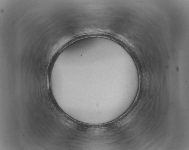 X0000076421269200610271659