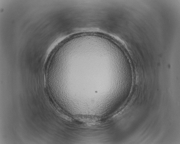 X0000076421271200610271659