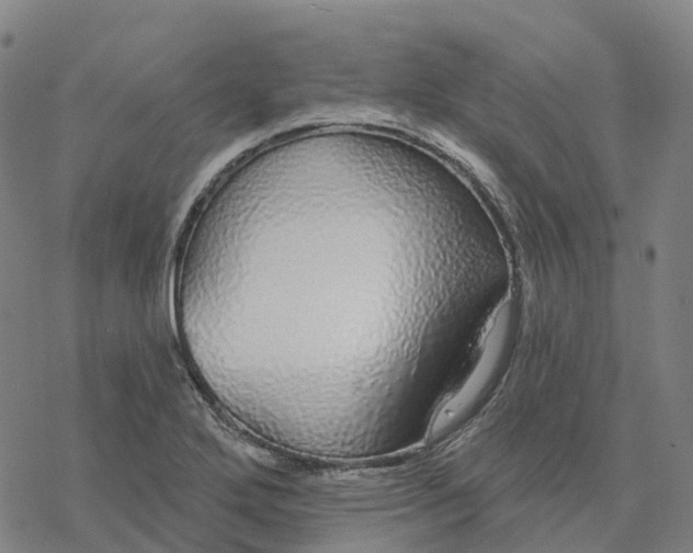 X0000076421272200610271659