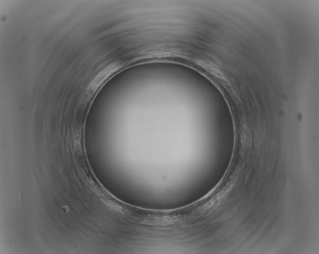 X0000076421273200610271659