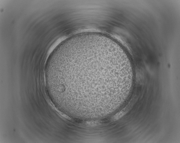 X0000076421274200610271659