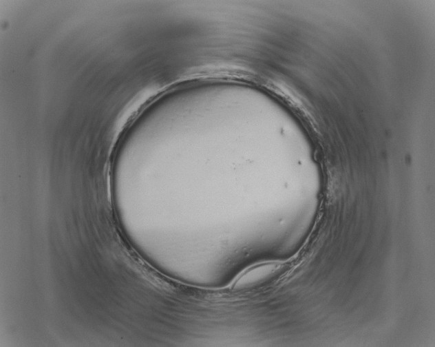 X0000076421275200610271659