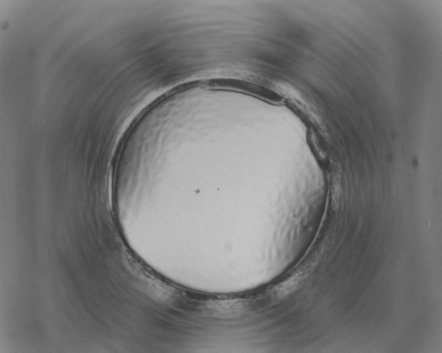 X0000076421276200610271659