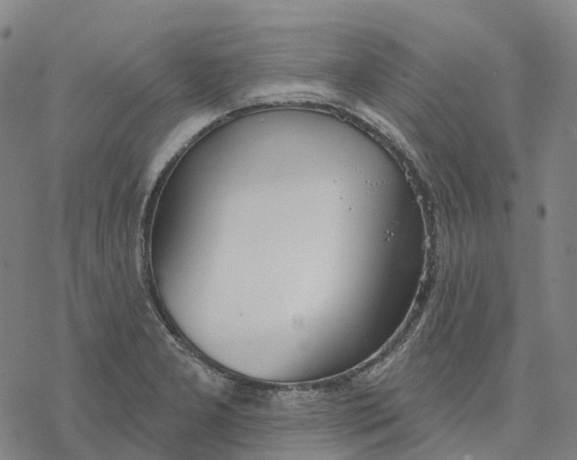 X0000076421277200610271659