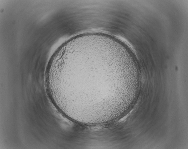 X0000076421278200610271659